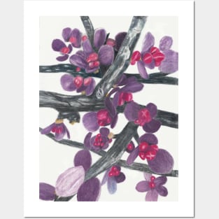 Barberry Shrub Spring Buds Posters and Art